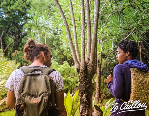 2-visite-plantation-vanille-ste-rose-anse-des-cascades