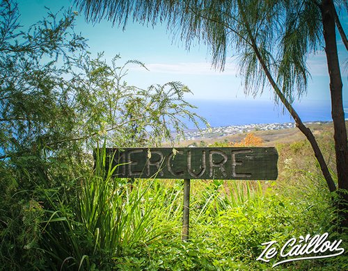 3-fontaine-aromatique-parcelle-agricole