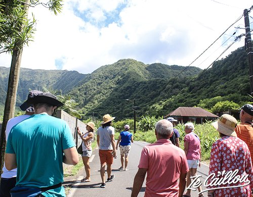 3-maison-du-curcuma-balade-plaine-des-gregues