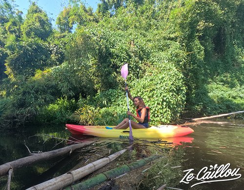6-bambou-kayak-riviere-sainte-suzanne