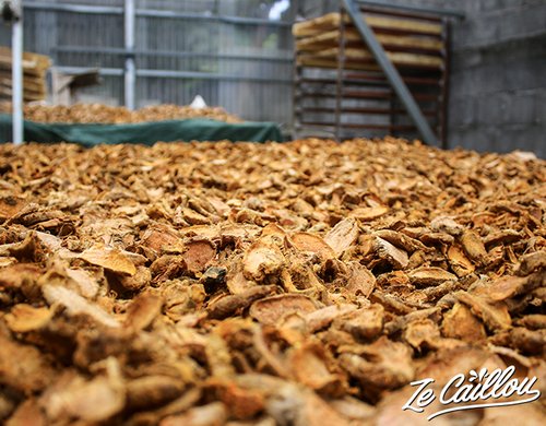 6-maison-du-curcuma-visite-sechage-epice