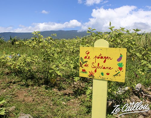 8-domaine-de-coco-visite-potager