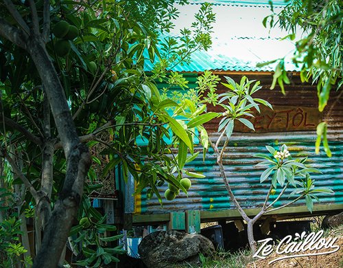 8-fontaine-aromatique-logement-woofer