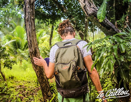 8-visite-plantation-vanille-cooperative-anse-cascades